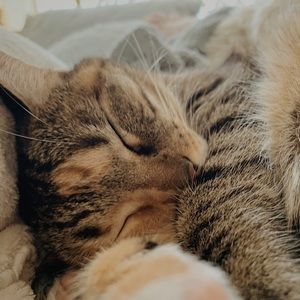 Meet your Posher, Claire